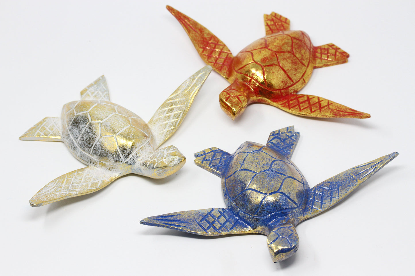 Colorful Sea Turtles